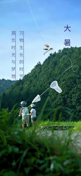 大暑蜻蜓高端气