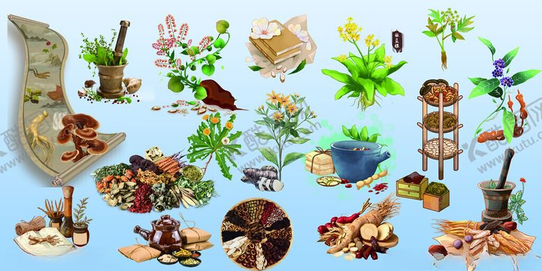 编号：82263711172307519630【酷图网】源文件下载-多样植物与菌类素材集合