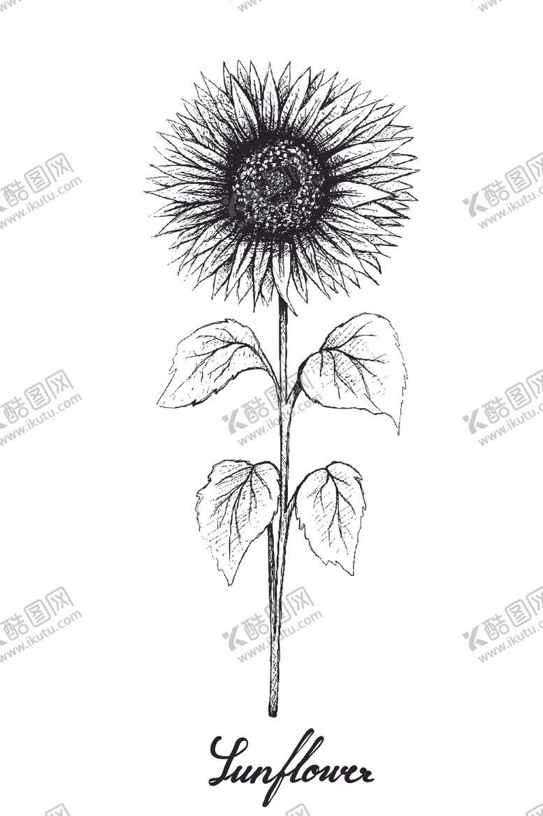 编号：50749610191956346970【酷图网】源文件下载-线描植物