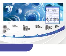 公司折页 课程体系