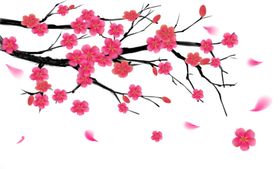 梅花树枝元素