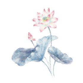 水墨荷花画中国风叶