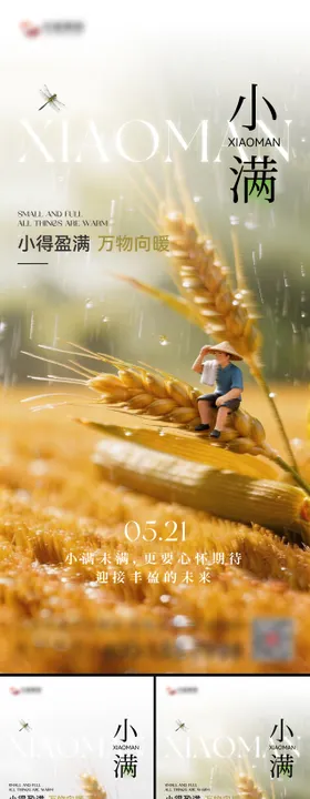小满节气海报
