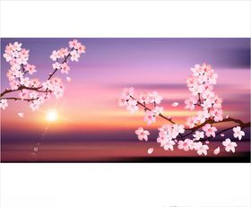 樱花矢量背景