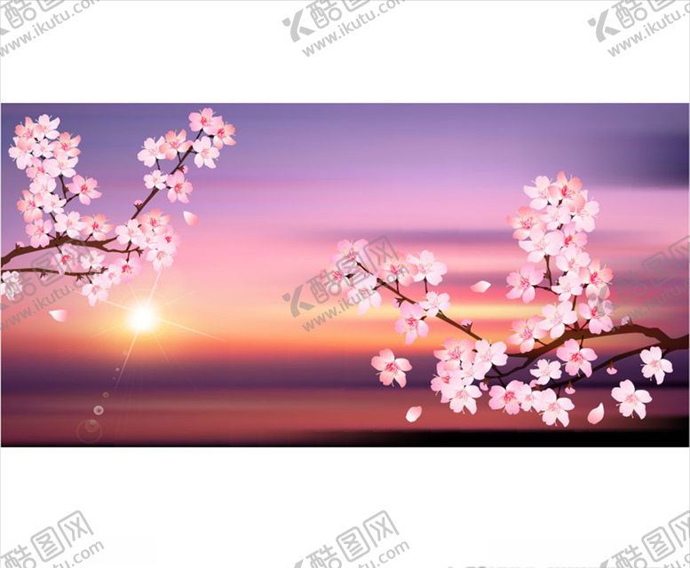 编号：66878107071438327745【酷图网】源文件下载-樱花矢量背景