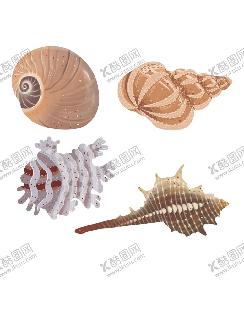 编号：60899410050420406432【酷图网】源文件下载-免扣海螺