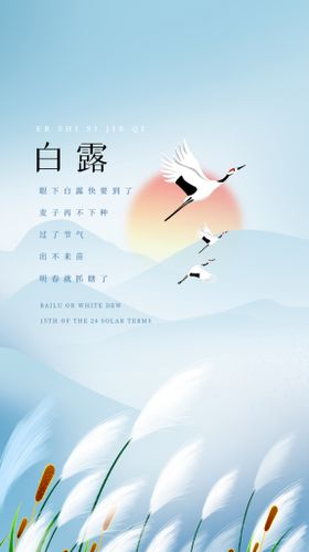 白露海报