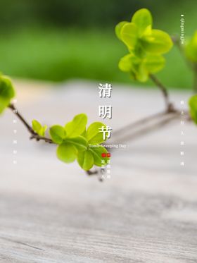 清明节清明追思二十四节气海报