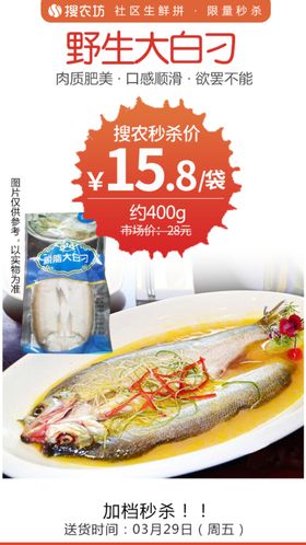 野生大白刁秒杀