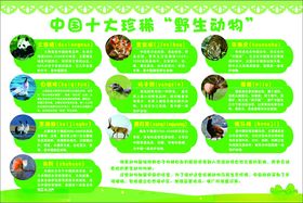 中国十大珍稀动物介绍