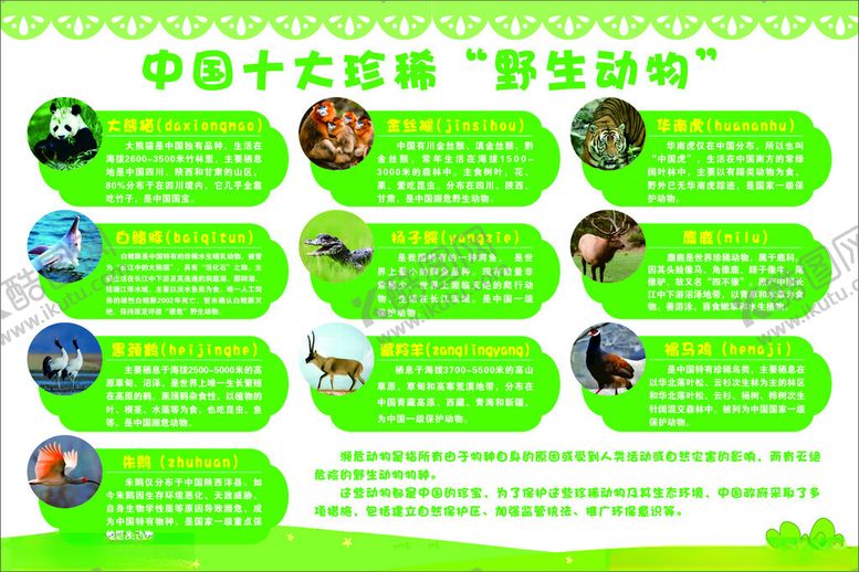 编号：50594211020641217683【酷图网】源文件下载-中国十大珍稀动物介绍