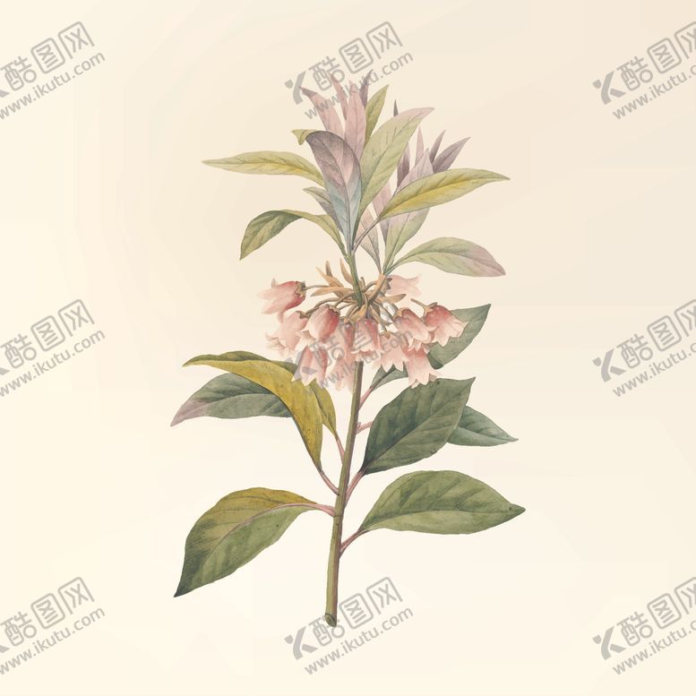 编号：51300909241608201139【酷图网】源文件下载-花纹