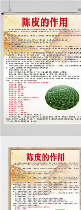 陈皮的作用宣传海报