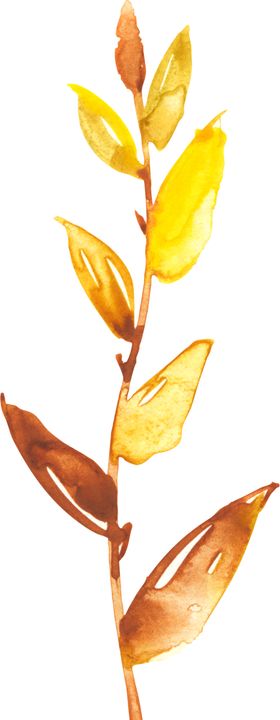 水彩手绘花卉花朵植物绿叶子自然枝叶