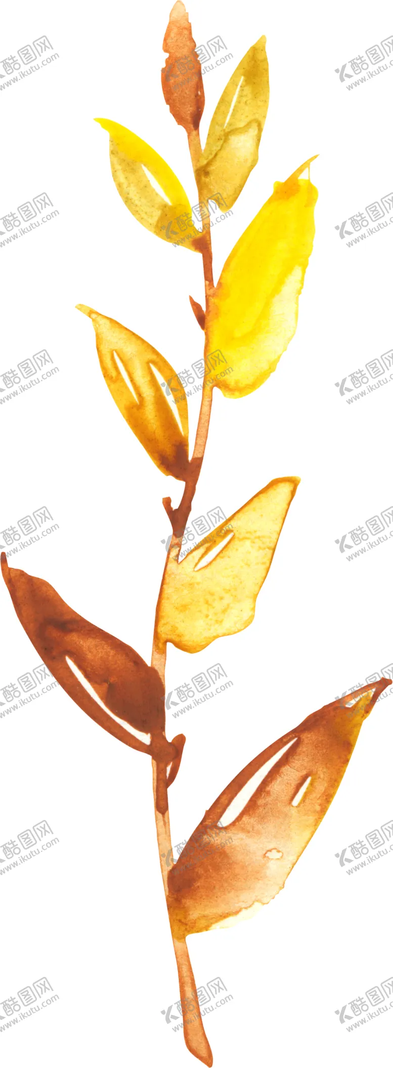 编号：89811706250229203892【酷图网】源文件下载-水彩手绘花卉花朵植物