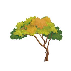 秋天素材