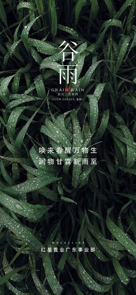 地产谷雨节气稿