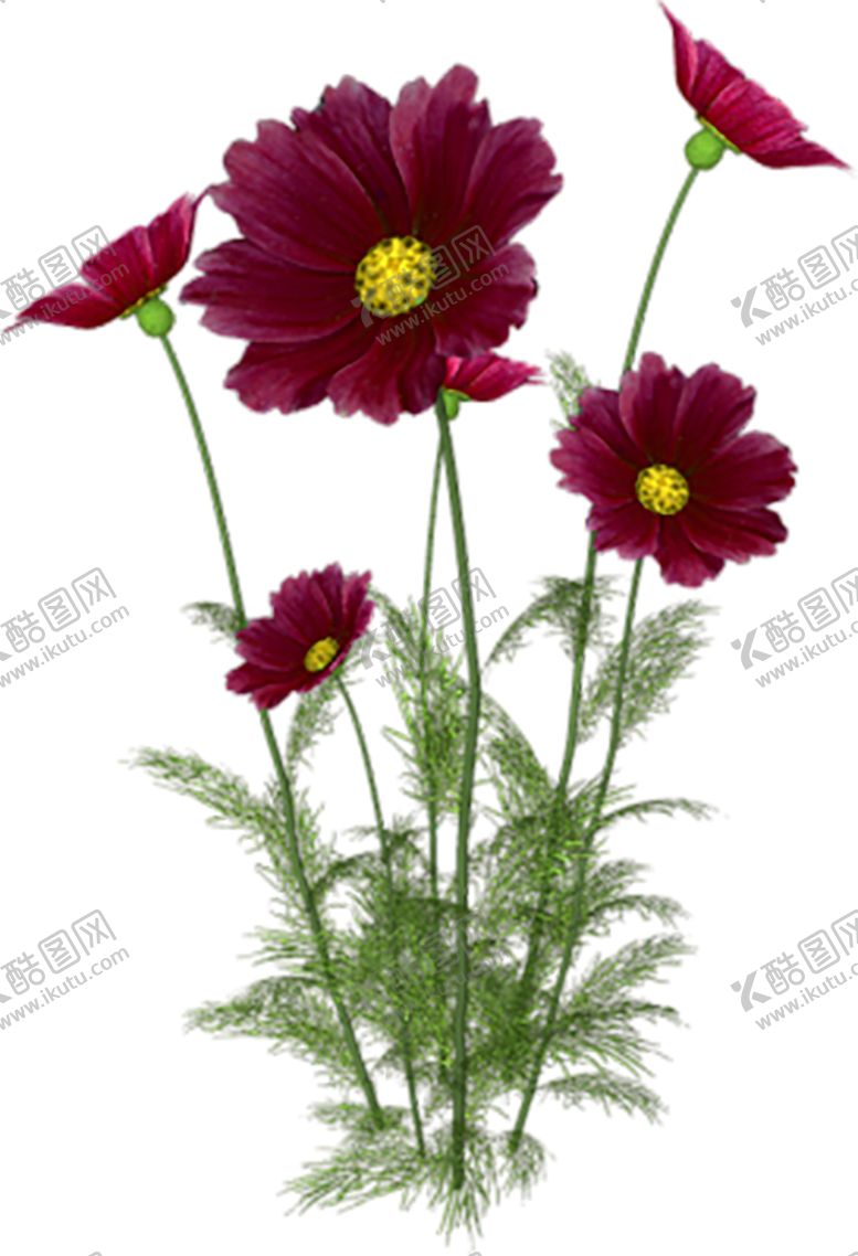 编号：76024409290517174125【酷图网】源文件下载-鲜花素材