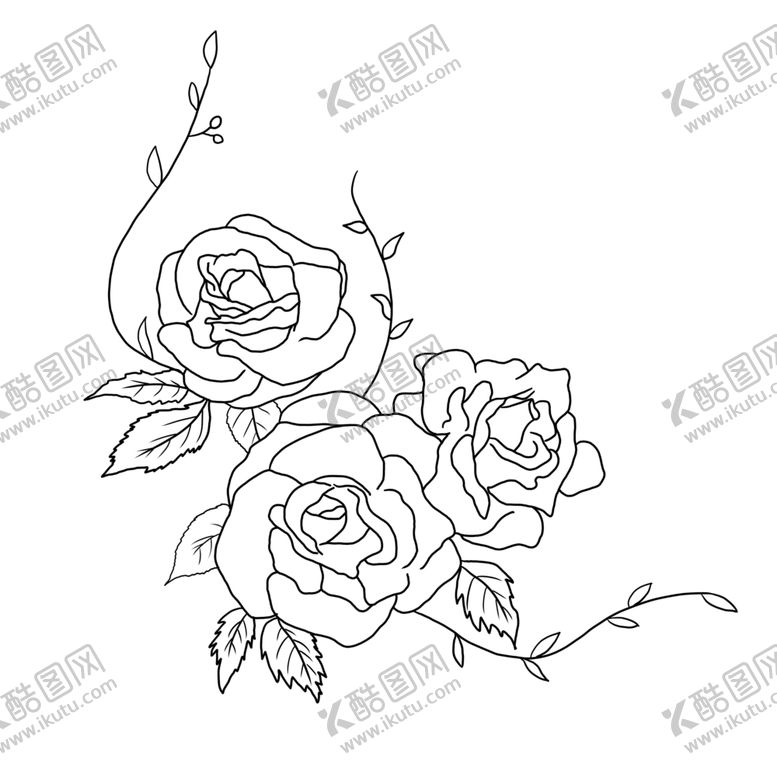 编号：16423309261304022676【酷图网】源文件下载-玫瑰花