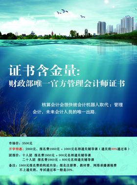会计单页