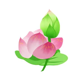 荷花元素叶鲜手绘装饰水墨