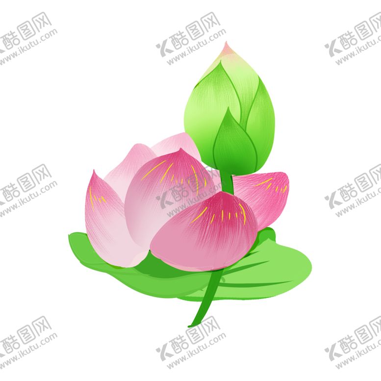 编号：30695004251131478264【酷图网】源文件下载-荷花元素