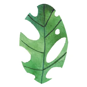 绿色水彩植物树叶