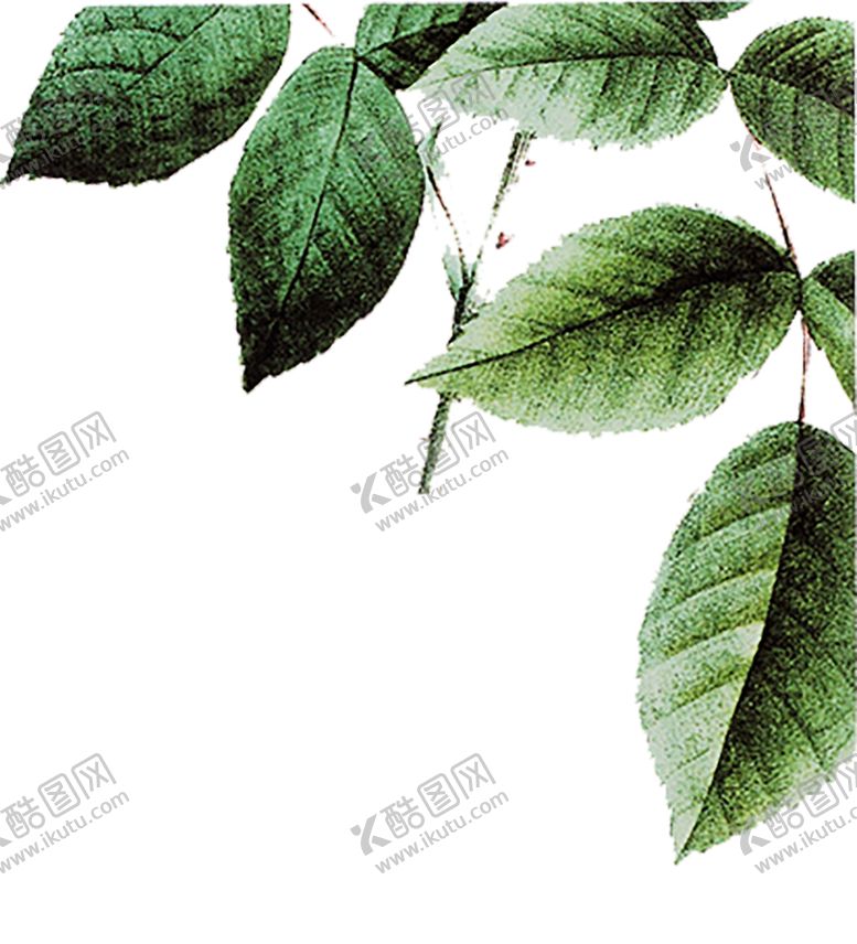 编号：99688307130922371216【酷图网】源文件下载-绿色背景