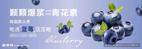 蓝莓灯箱海报