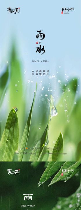 雨水节气系列海报