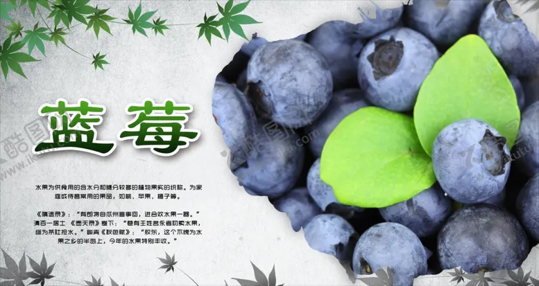 编号：62939611300125558332【酷图网】源文件下载-蓝莓海报