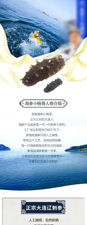海参专题设计长图大气简约