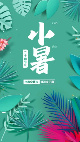 小暑大微信海报单图大地产海报大节日