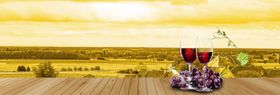 葡萄酒海报红酒banner