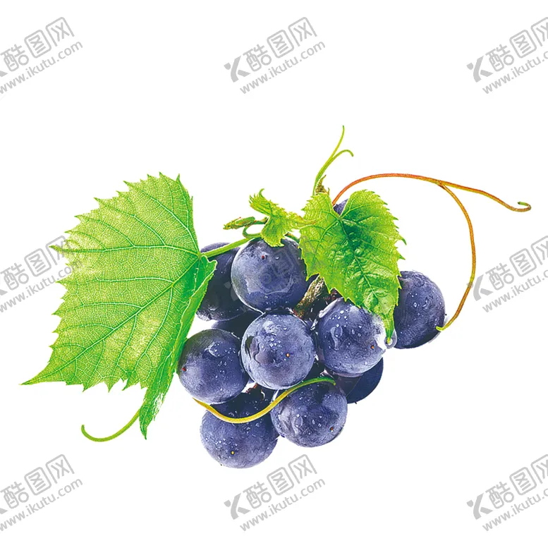 编号：77261112152233581983【酷图网】源文件下载-紫葡萄PNG免抠素材