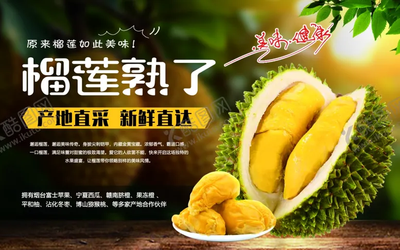 编号：76711806292130576299【酷图网】源文件下载-榴莲熟了果肉饱满诱人