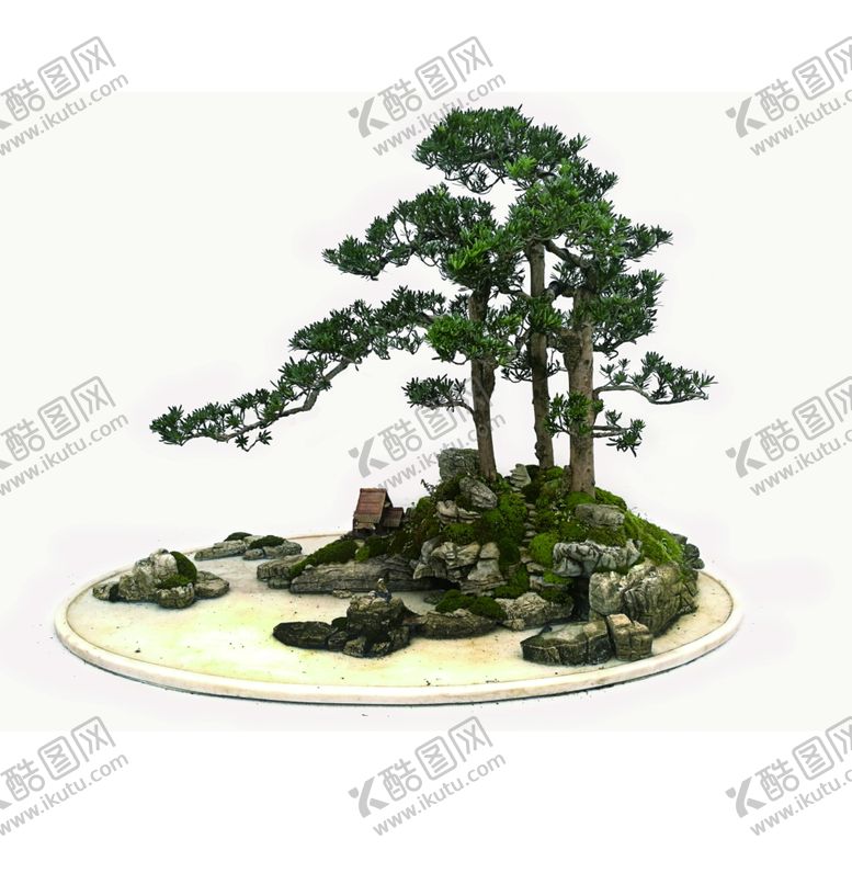 编号：52493209261621367236【酷图网】源文件下载-盆景