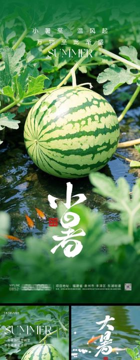 夏至小暑大暑系列海报