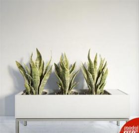 3DMAX模型植物花卉景观