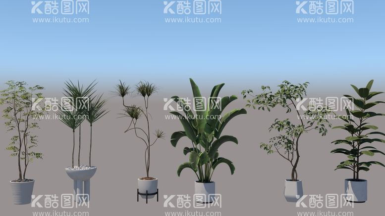 编号：75013610081927548051【酷图网】源文件下载-盆栽植物模型