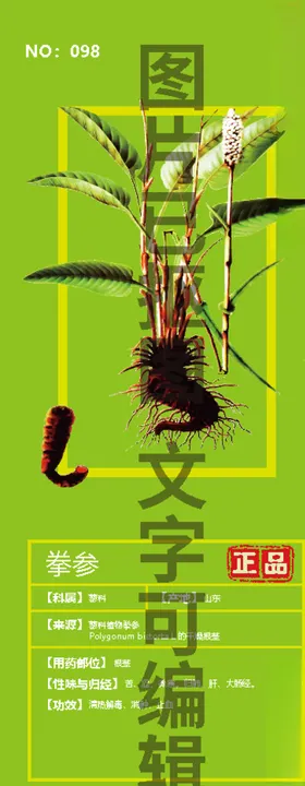 拳参