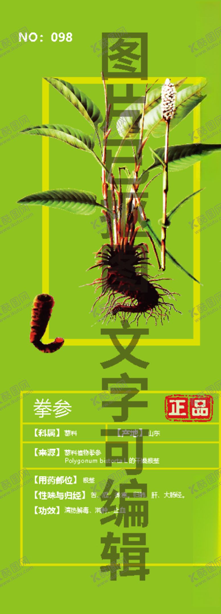编号：96160610231801571166【酷图网】源文件下载-拳参