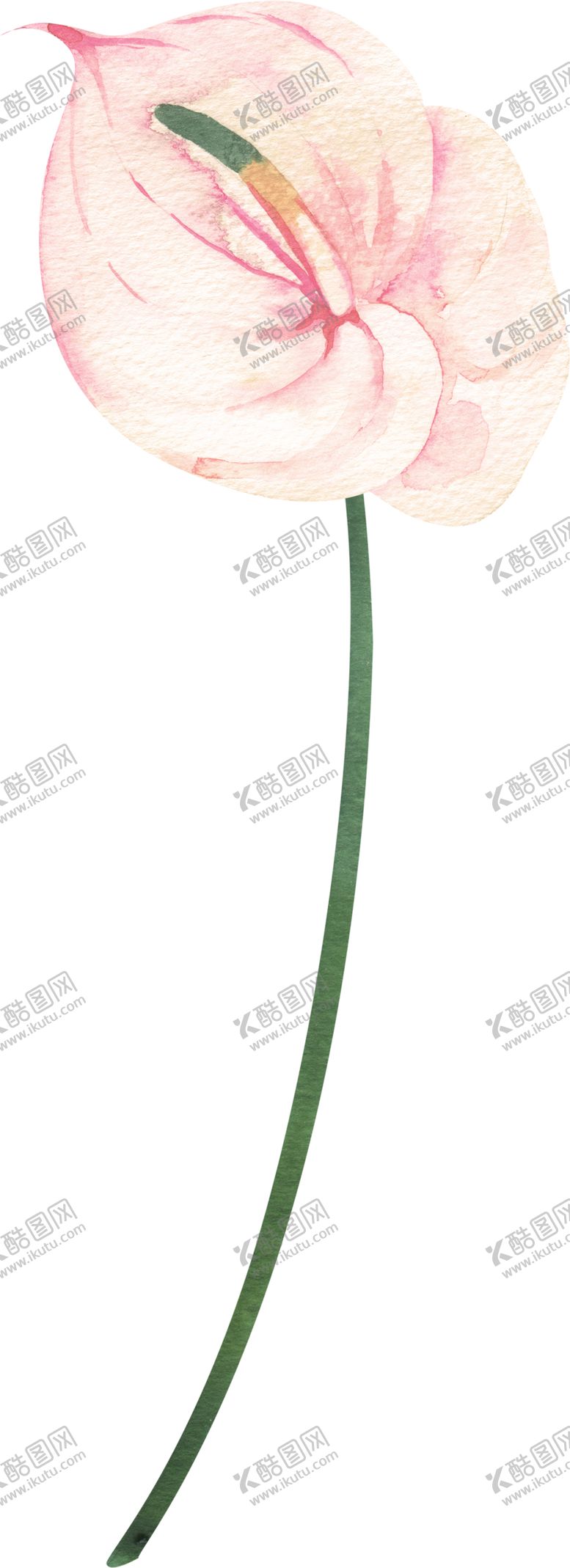 编号：39365201252056392285【酷图网】源文件下载-花素材