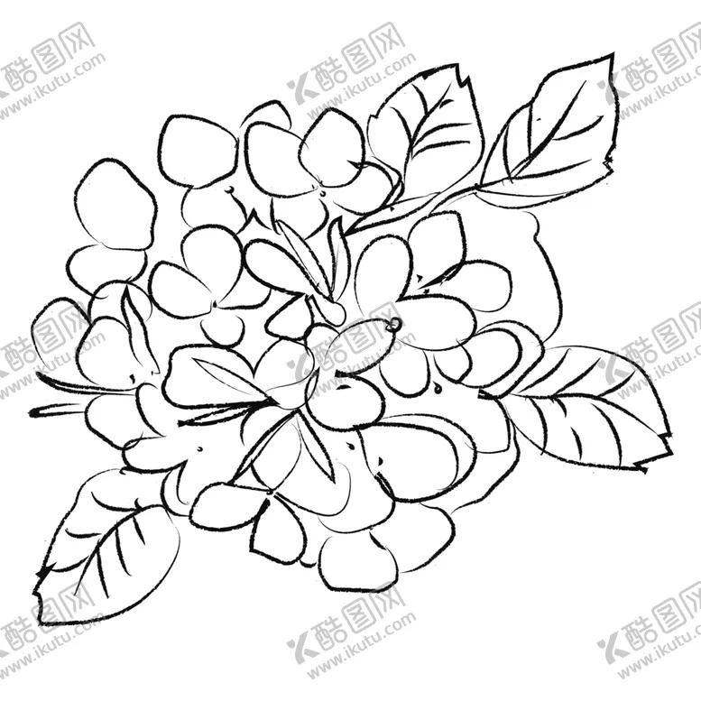 编号：61071105052149116360【酷图网】源文件下载-手绘植物花卉