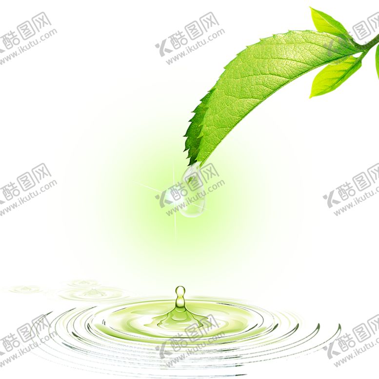 编号：33648810260604404954【酷图网】源文件下载-绿色植物