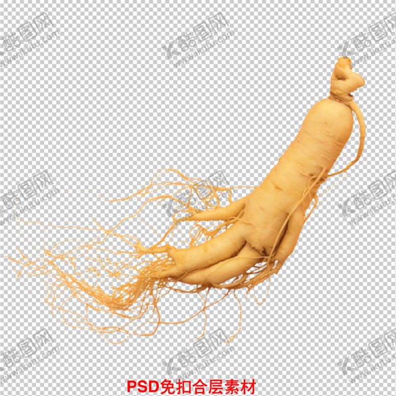 编号：39405710041126111605【酷图网】源文件下载-人参