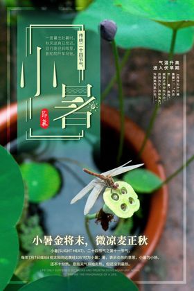 小暑海报