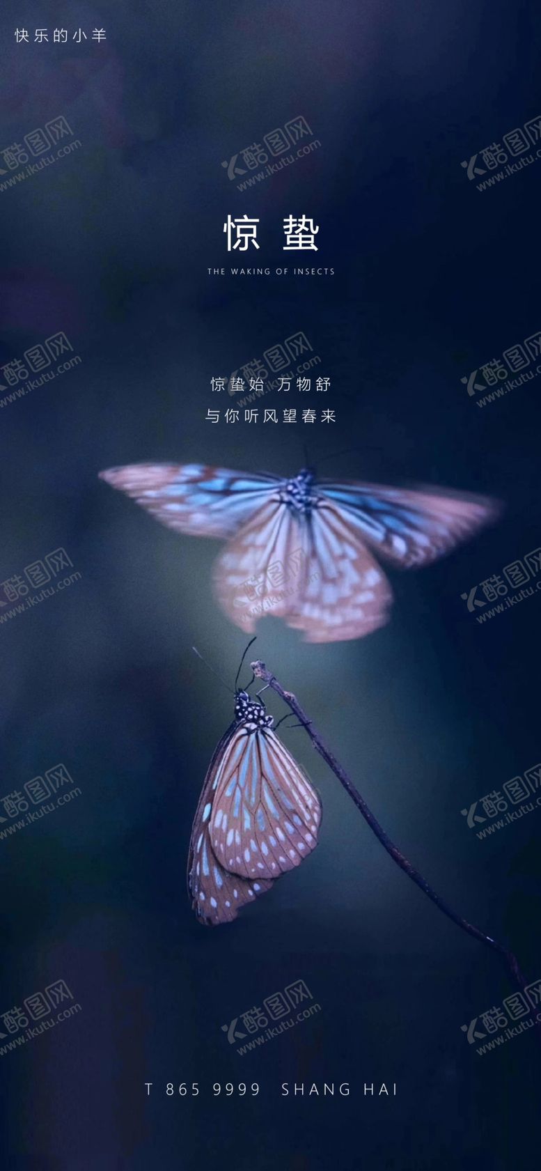 编号：32289204062235462268【酷图网】源文件下载-惊蛰节气海报