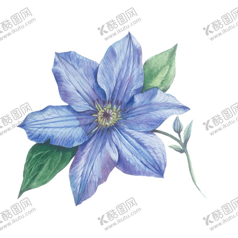 编号：77456609141633144791【酷图网】源文件下载-手绘花