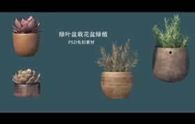 编号：14358909241221168527【酷图网】源文件下载-盆栽花盆绿植PSD免扣素材